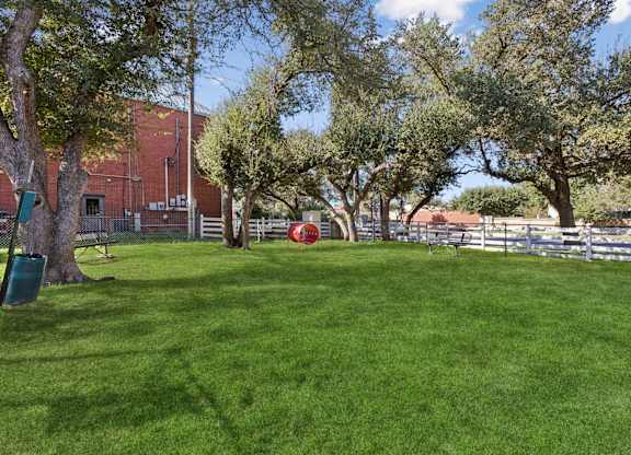 Grassy courtyard with white fencing and shade trees at Polo Club Apartments, Texas