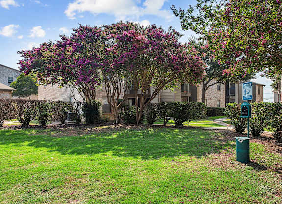 Landscaped courtyard with flowering crepe myrtle trees at Peaks at Universal City Apartments, Universal City
