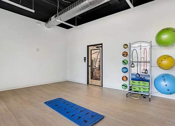 A room with a blue mat on the floor and exercise balls on the wall.