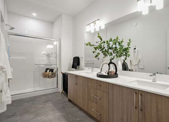 A bathroom with a large mirror, a sink, and a plant on the counter.