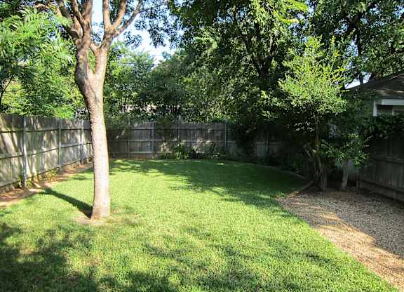 A backyard with a tree and a fence.
