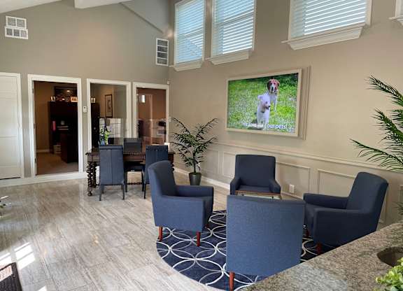 A living room with a large screen and blue chairs.