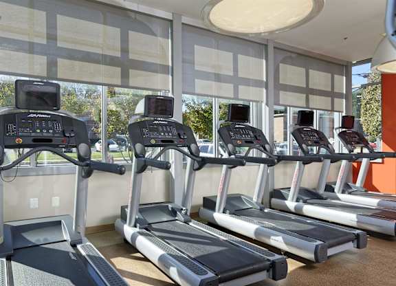 A row of treadmills in a gym with a window in the background.
