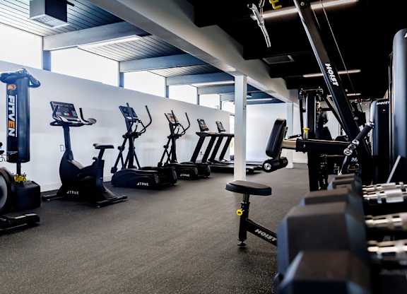 A gym with a row of treadmills and elliptical machines.