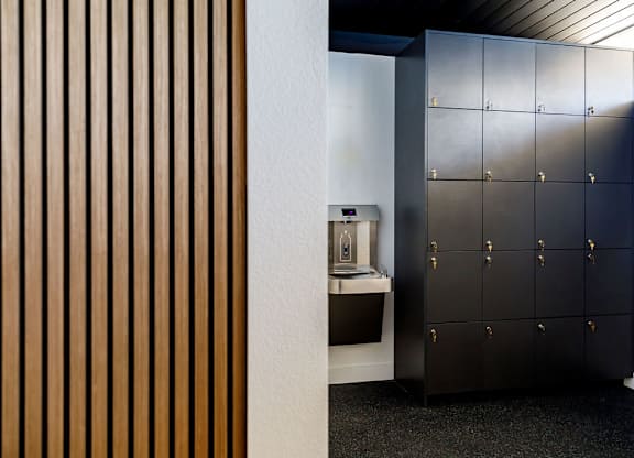 A black cabinet with gold handles is in a room with a wooden wall.