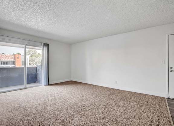 Empty room with carpeted floor and sliding glass doors.