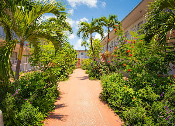 A pathway surrounded by greenery and plants.
