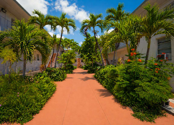 A pathway with green plants on both sides.