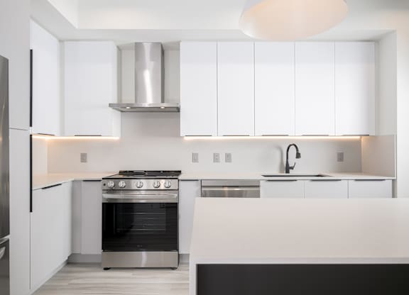 Custom cabinetry with undermount LED lighting