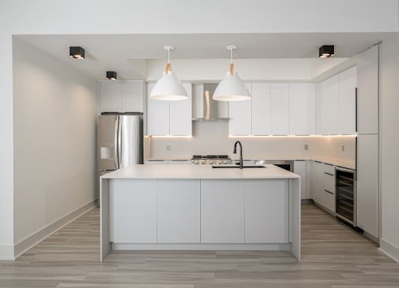 Custom cabinetry with undermount LED lighting
