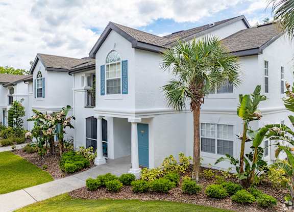 A white house with a blue door and a palm tree in front.