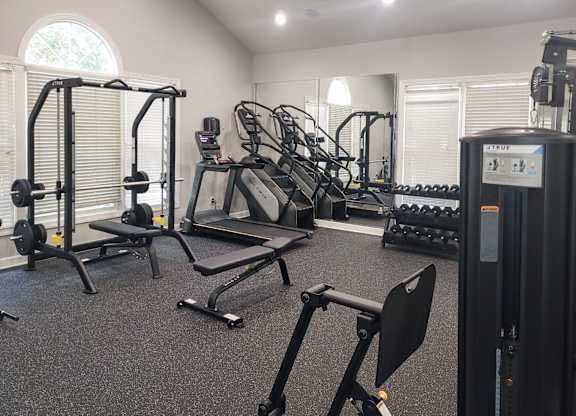 Professional fitness studio