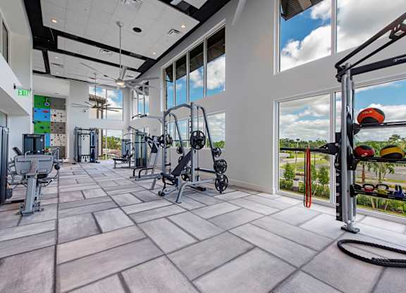 Fitness center with weight machines and free weights
