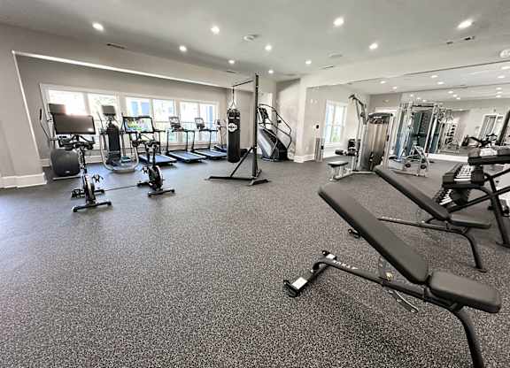 Professional fitness studio with free weights