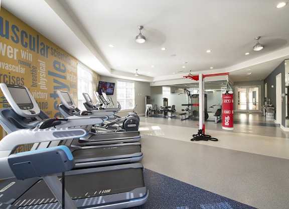 Professional fitness studio with yoga zone, virtual trainer and boxing station