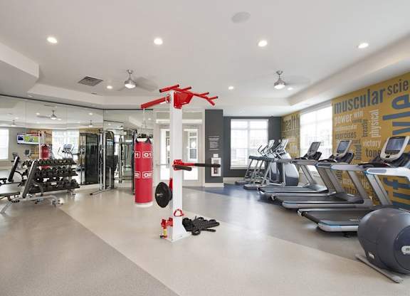 Professional fitness studio with yoga zone, virtual trainer and boxing station