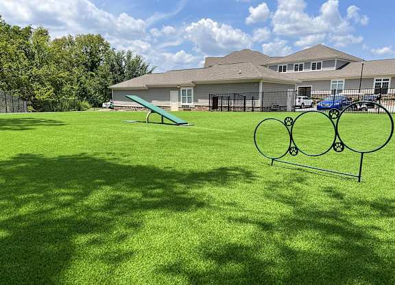 Large gated dog park with agility equipment