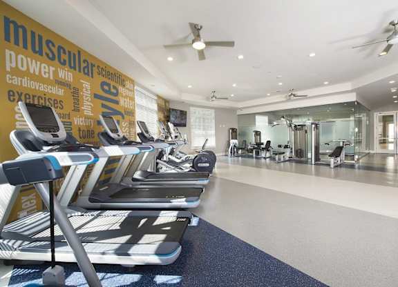 Professional fitness studio with yoga zone, virtual trainer and boxing station
