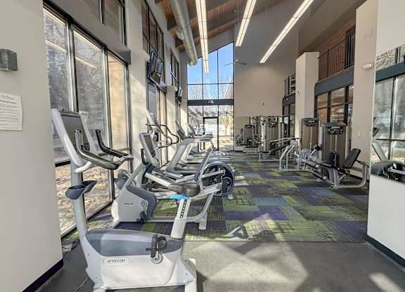 A gym with treadmills and elliptical machines.