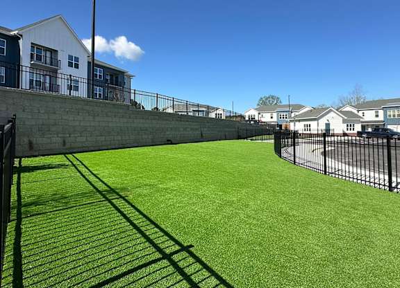 Fenced dog park
