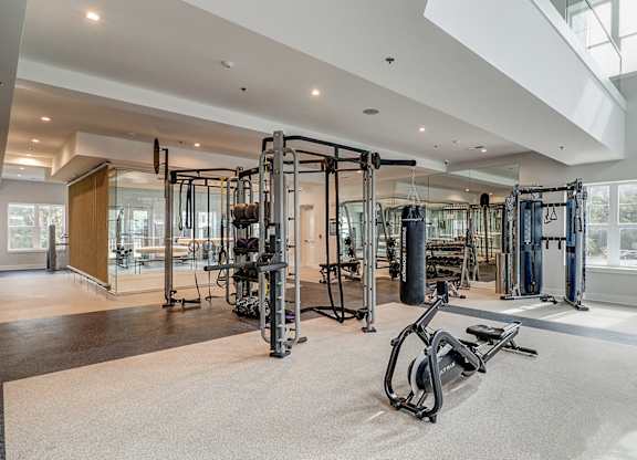 Fitness center with weight machines and free weights