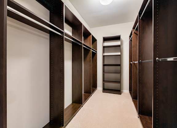 Large walk-in closets with shelving