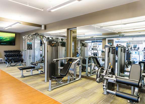 Fitness studio with cardio machines and free weights