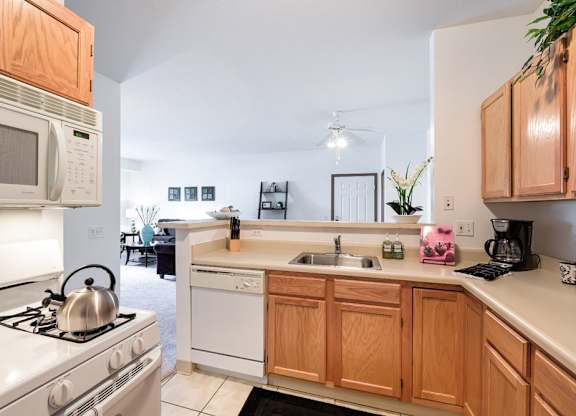 Fully-equipped kitchens with tiled floors