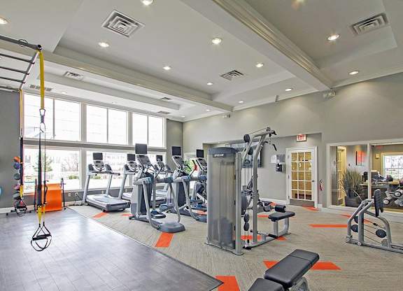Fitness studio with cardio and weight machines and TRX bands