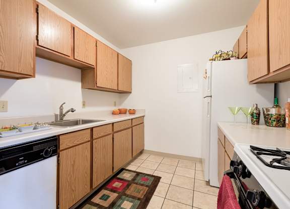 Fully-equipped kitchens with tiled floors