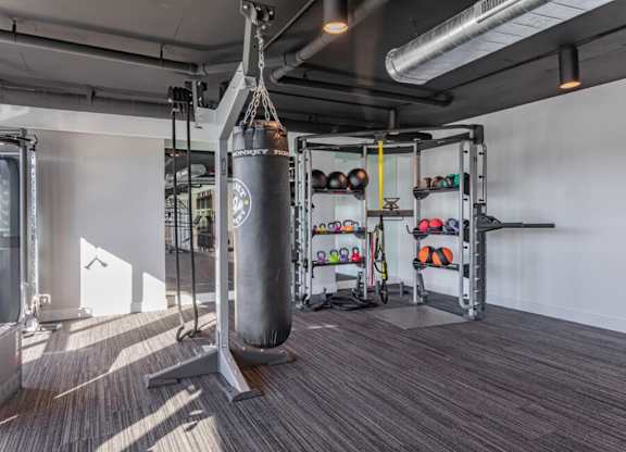 Professional fitness studio with boxing station