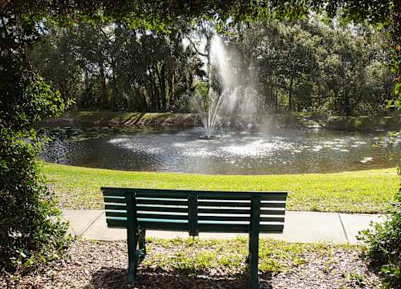 Pond views