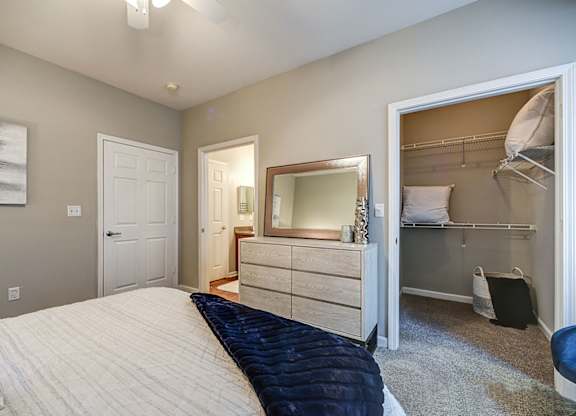 Walk-in closets with shelving