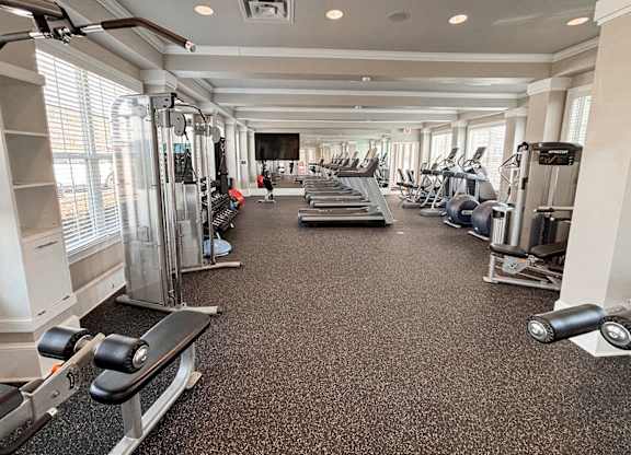 Fitness studio with cardio and weight machines