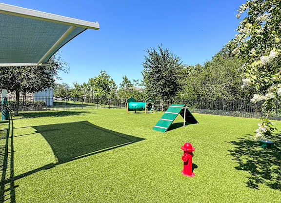 Fenced dog parks with agility equipment