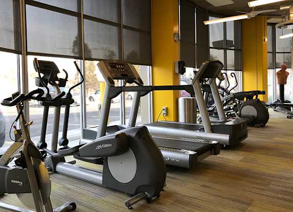 A gym with treadmills and elliptical machines.