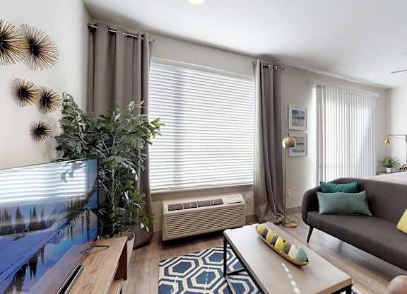 A living room with a couch, a television, and a plant.