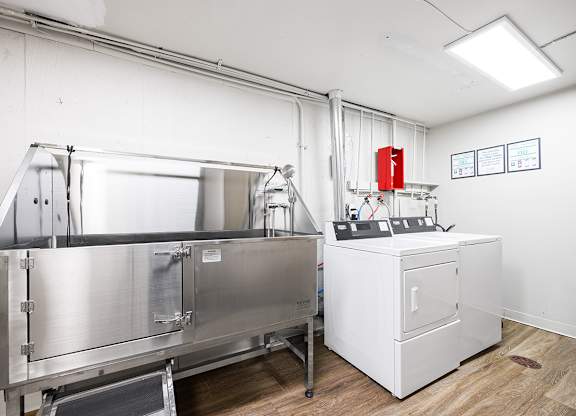 An elevated stainless steel dog wash tub sits in a room next to a laundry washer and dryer.