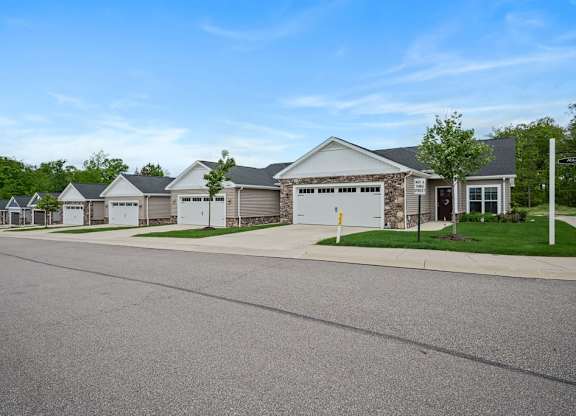 A row of houses with garages are in front of a tree.