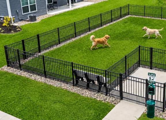 Three dogs are playing in a fenced yard.