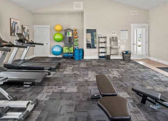 A spacious gym with treadmills, exercise balls, and weight racks.