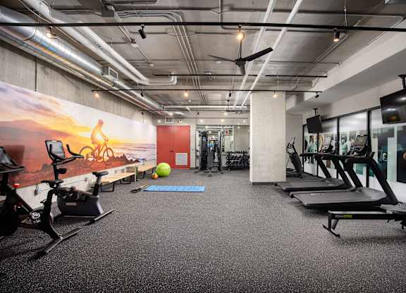 Well-equipped fitness facility at Damask, Ontario, N8S 0B7