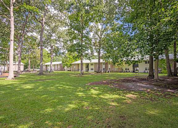 A green lawn with trees and buildings in the background at Sawbranch Apartments, Summerville 29485