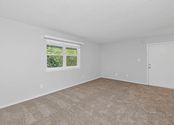 A room with a carpeted floor, a window, and a door at Sawbranch Apartments, South Carolina
