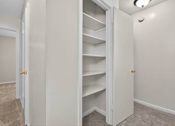 A white closet with shelves and a carpeted floor at Woodlocke Apartments, South Carolina