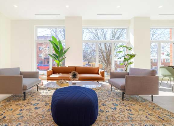 A living room with a blue ottoman in the middle of a rug.at The Vale at the Parks, Washington, DC  