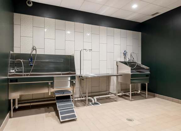 Pet Wash at The Vale at the Parks, District of Columbia  
