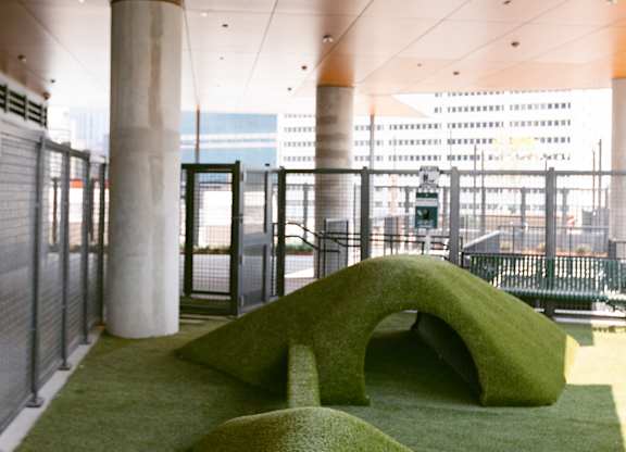 Indoor Dog Park at The Mitchell , Atlanta, Georgia