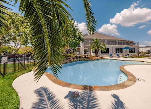 A palm tree is in the foreground of a swimming pool.