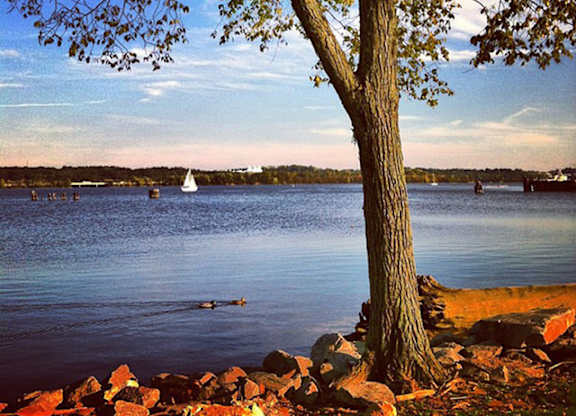 River View at Stratford at Southern Towers, Alexandria, Virginia